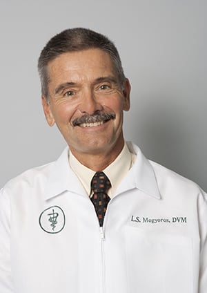 dr. louis s. mogyoros: our team in wilton manors, fl