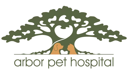 Bufo Toad Dangers - Arbor Pet Hospital in Wilton Manors, FL