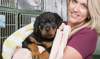 vet holding puppy in blanket