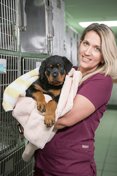 puppy Teresa holding a puppy
