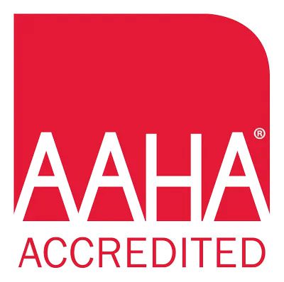 Aaha Logo