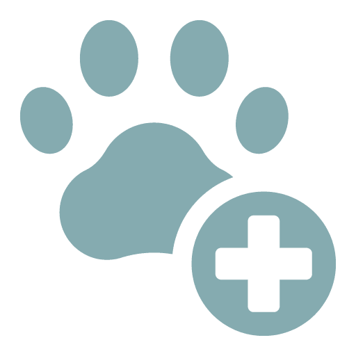 Paw Print Plus icon in blue