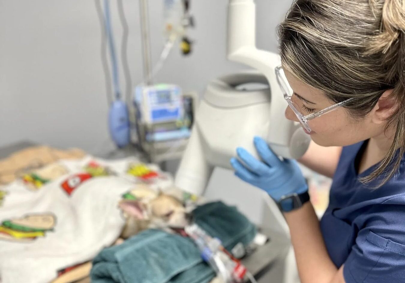 female vet tech performing dental xray
