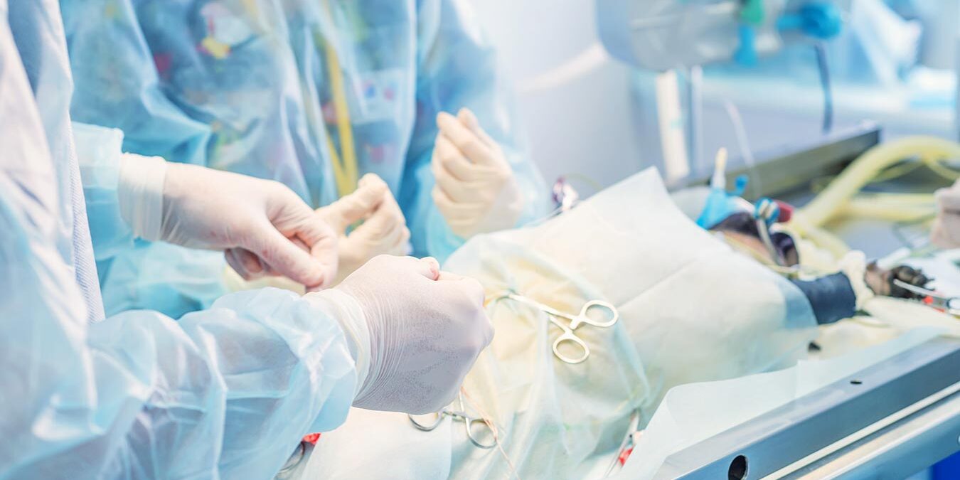 two veterinarians in scrubs preparing to perform surgery on sedated cat