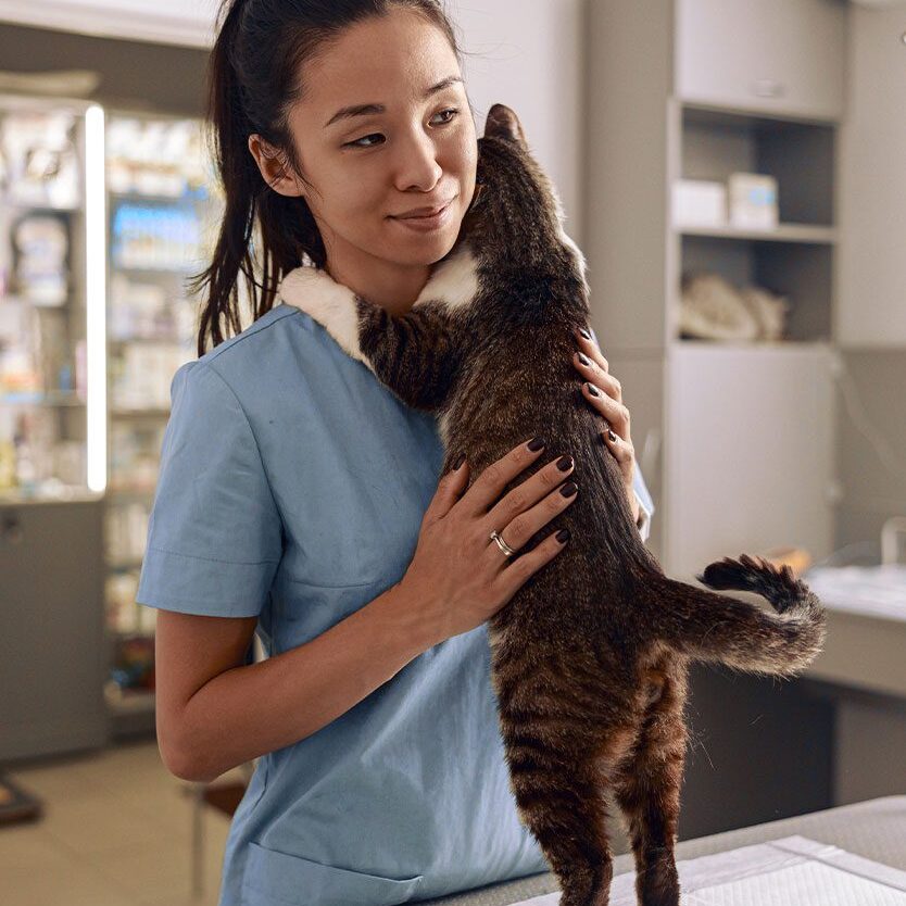 female veterinarian smiling while hugging tabby cat standing on exam table
