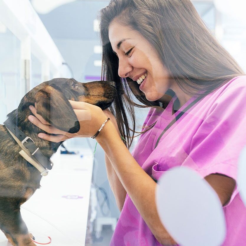female staff member smiling and hugging small brown dog in ICU area