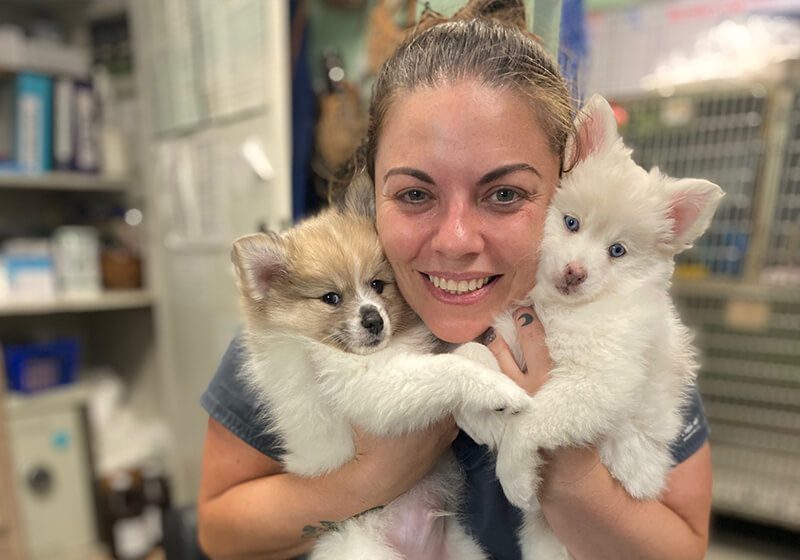 Girl Holding Two Puppies