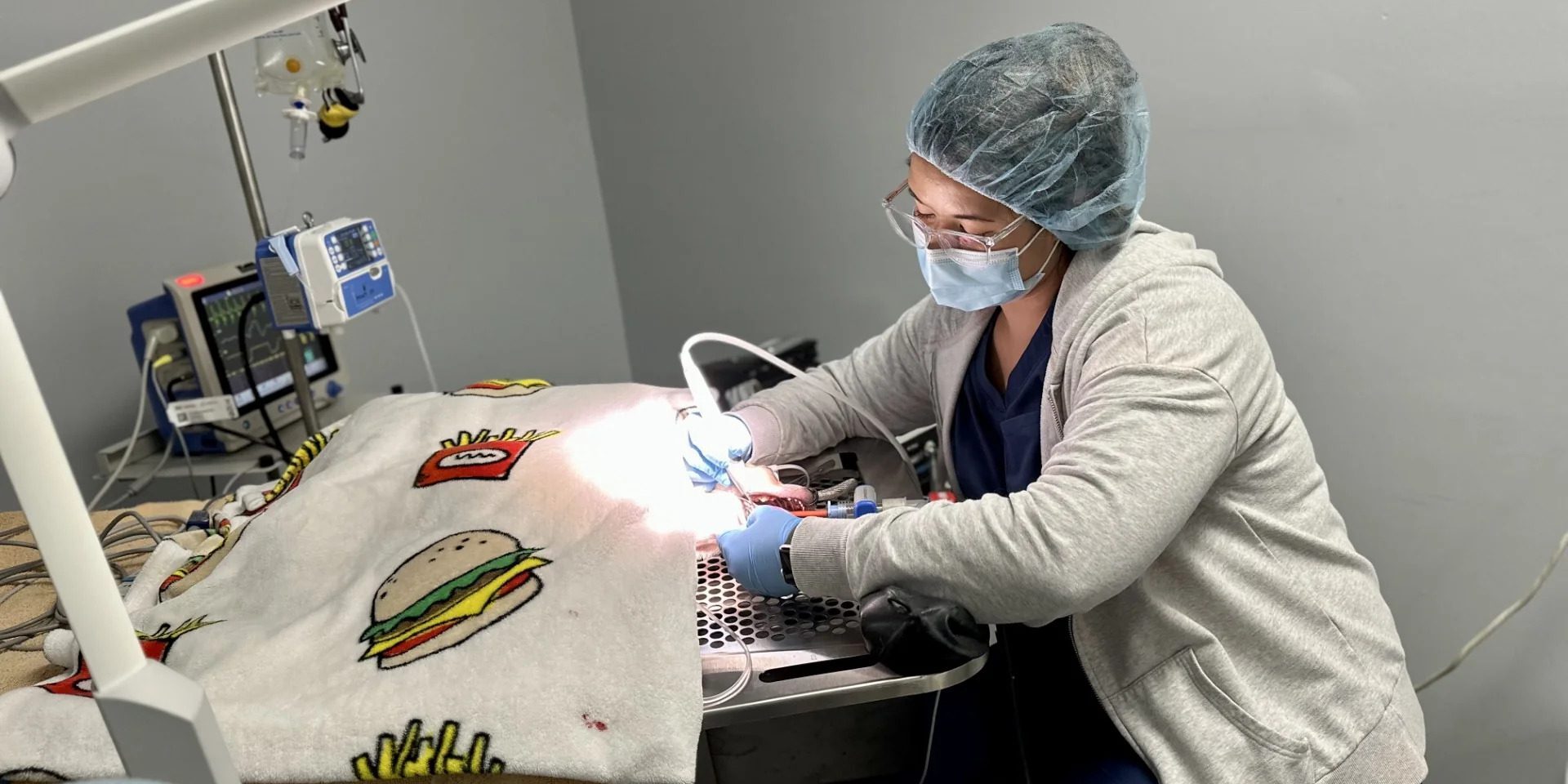 female vet professional doing dental cleaning on dog